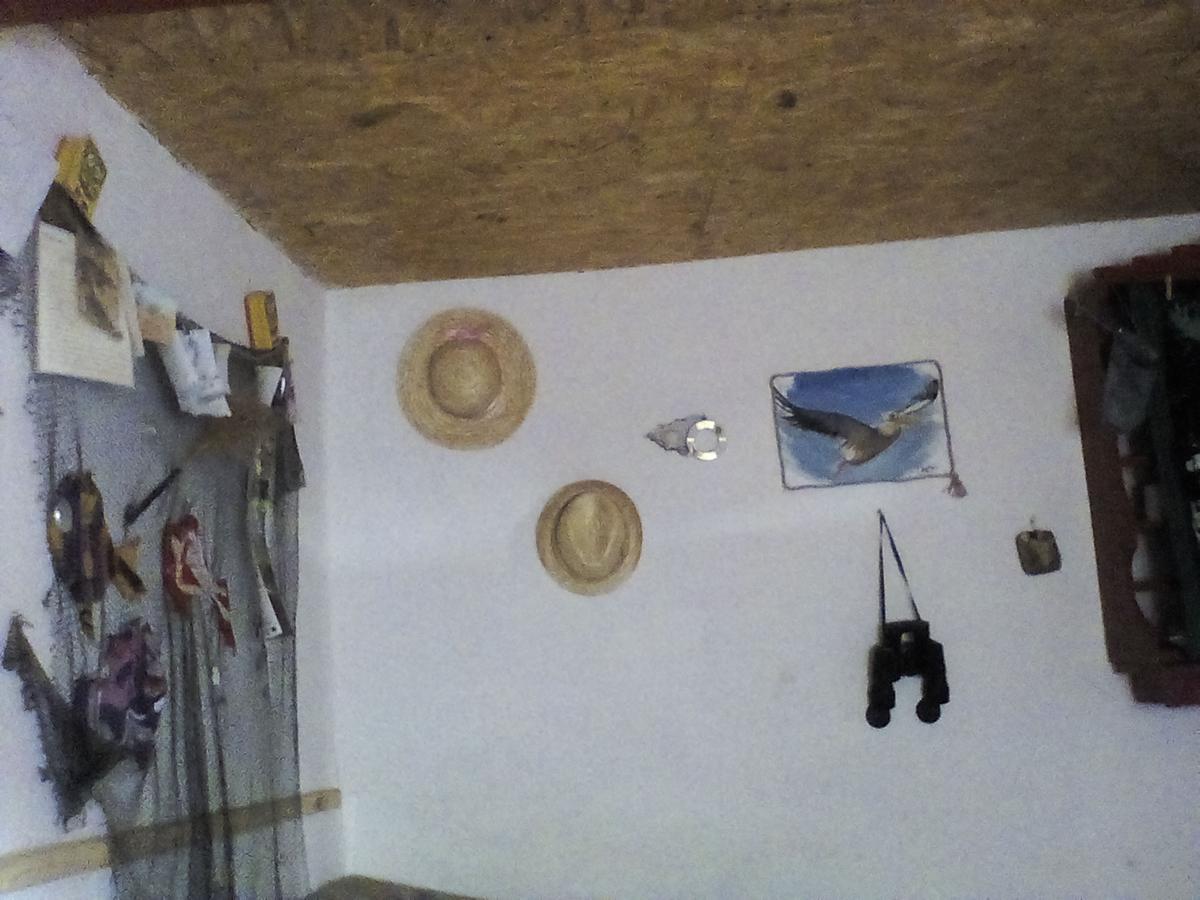 Casa Delta 106 3*
